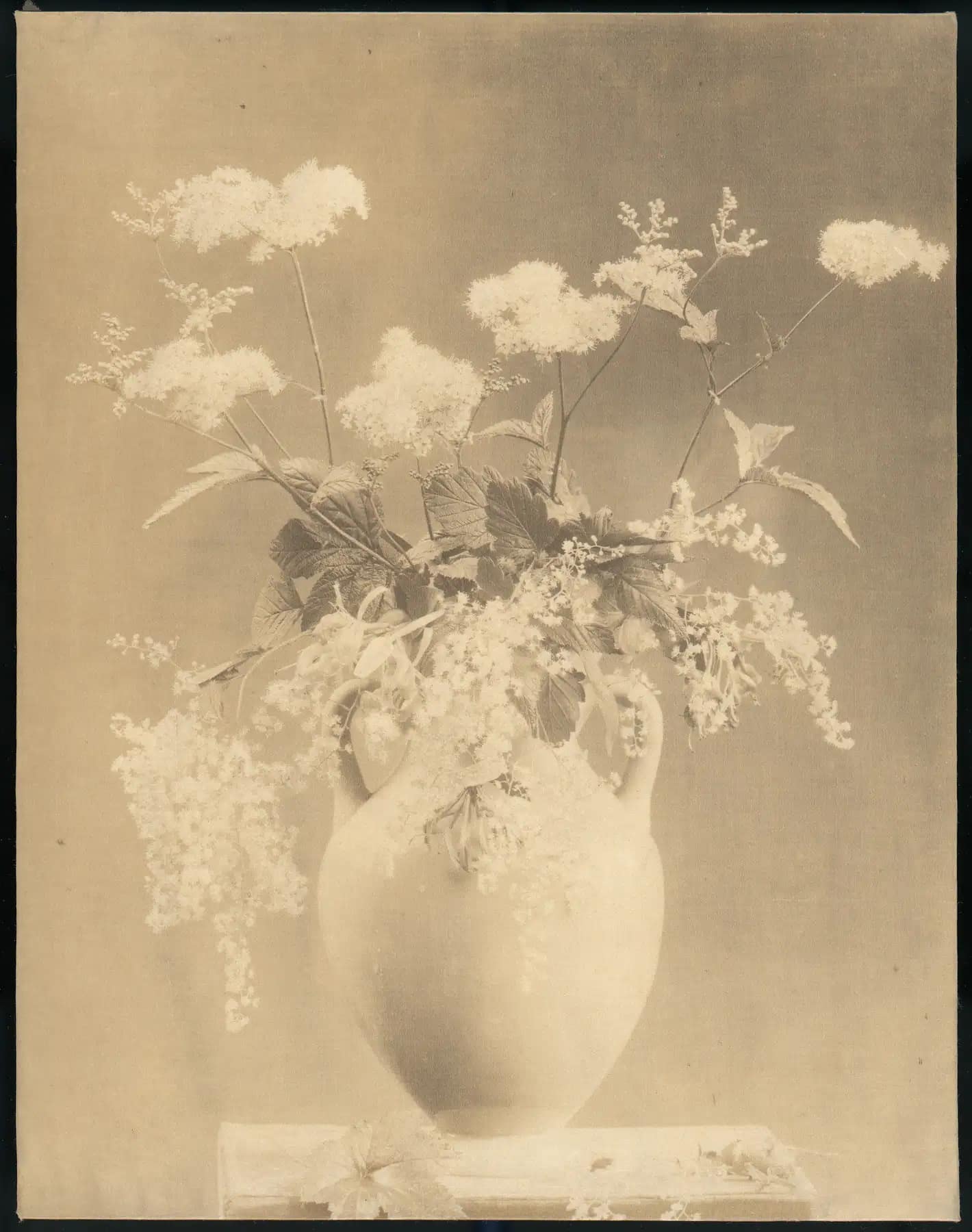 Historic still life of flowers arranged in a vase