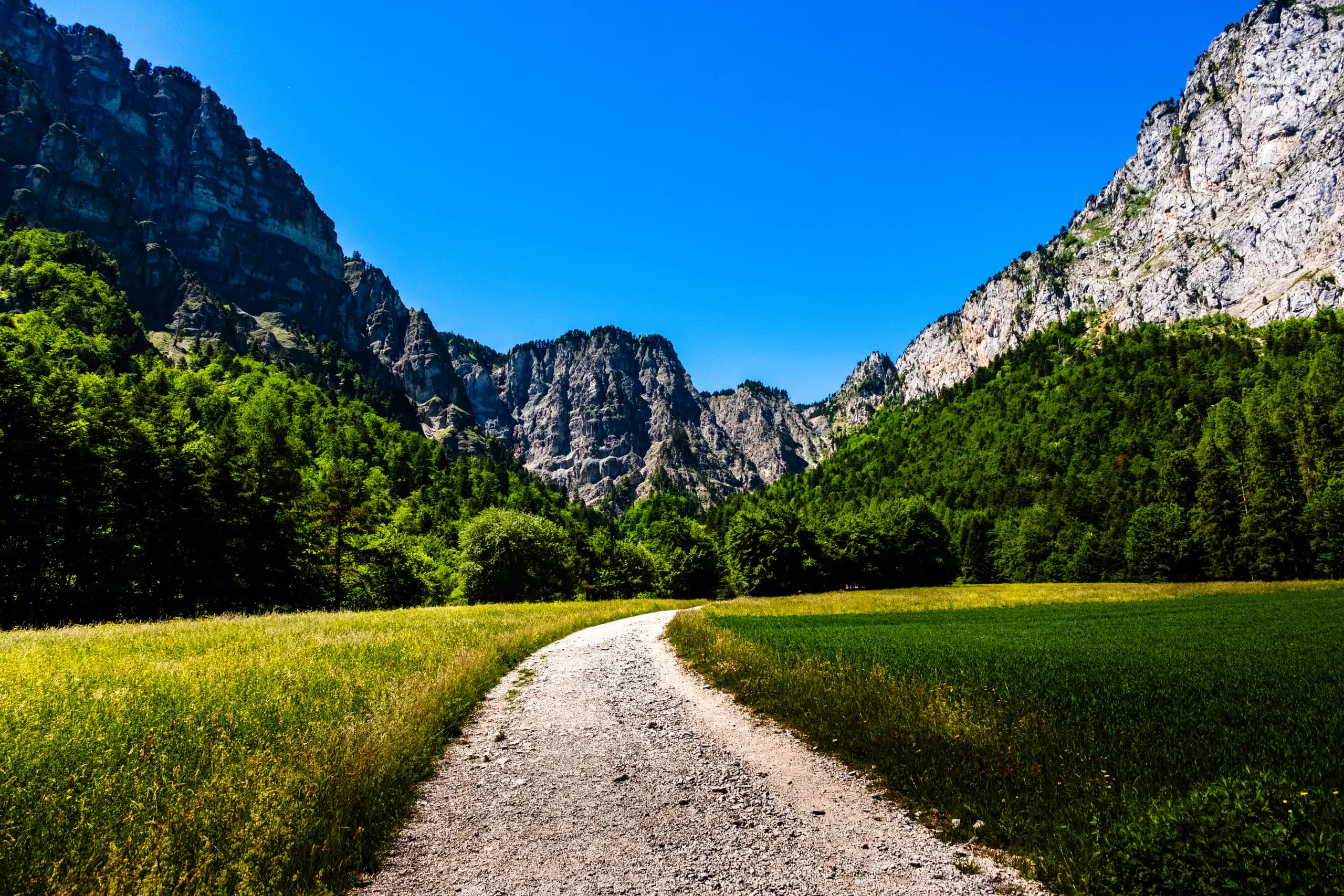 A bright mountain road curving through green fields beneath a clear blue sky